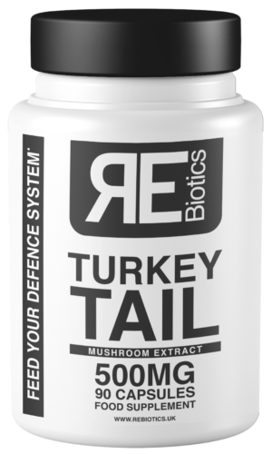 rebiotics-turkey-tail-500mg-1